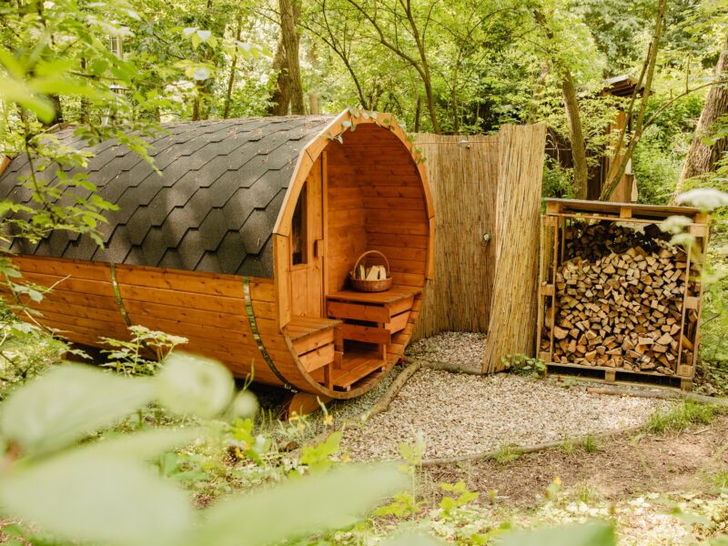 Yurt in the wood