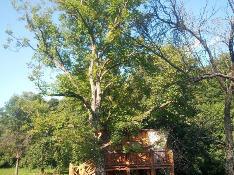 Treehouse Žítková